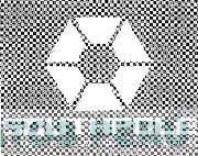 SOUTHPOLE AUTHENTIC CLOTHING COLLECTION