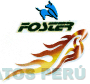FOSTER