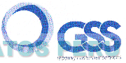 GSS LEADING CUSTOMER SERVICES