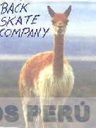 BACK SKATE COMPANY