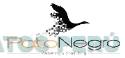 PATO NEGRO MARKETING & CONSULTORING