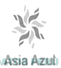 ASIA AZUL