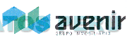 AVENIR GRUPO INMOBILIARIO