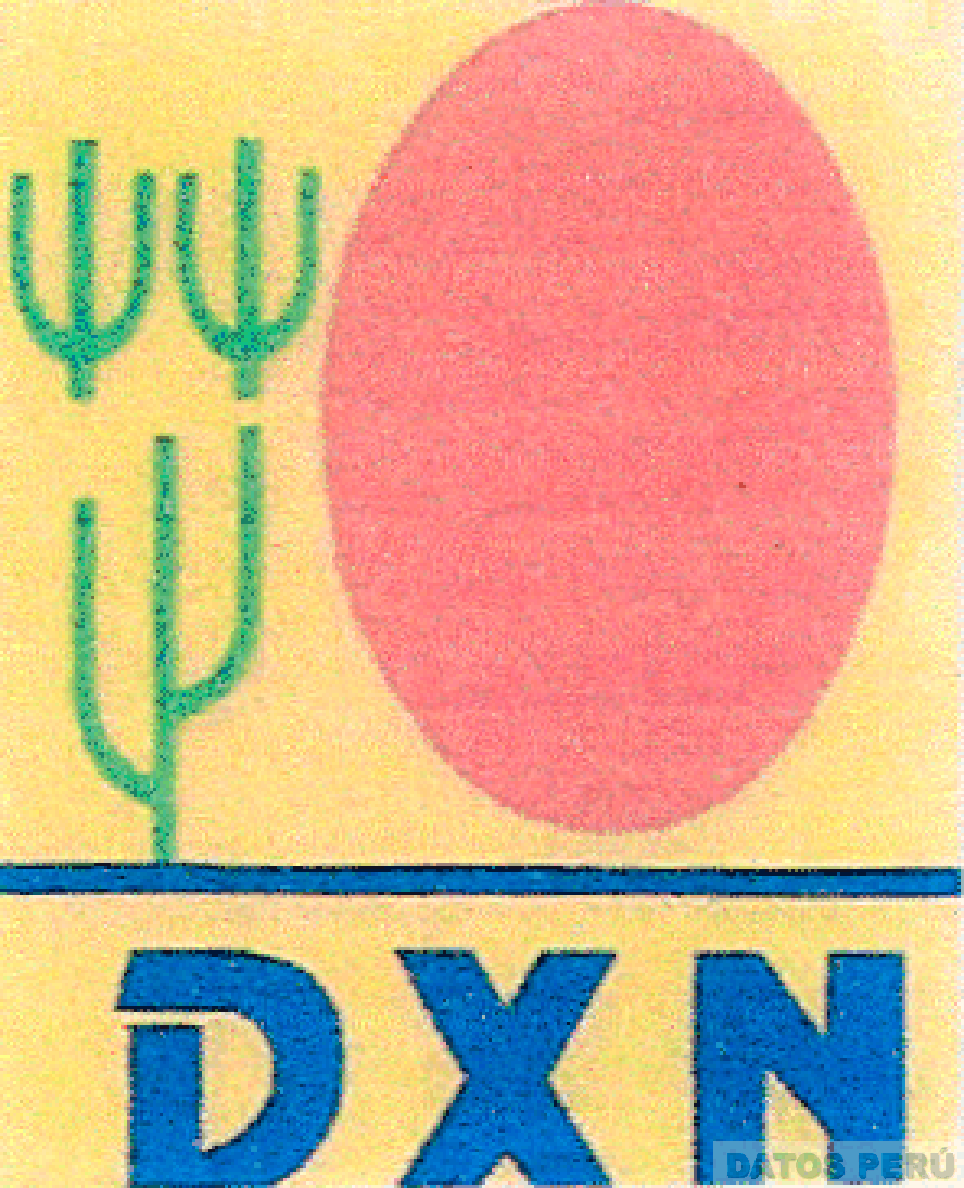 DXN