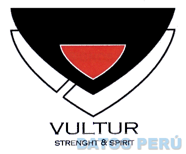 VULTUR STRENGHT & SPIRIT