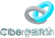 CIBERGESTIÓN