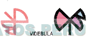 VIDEBULA