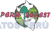 PERU FOREST