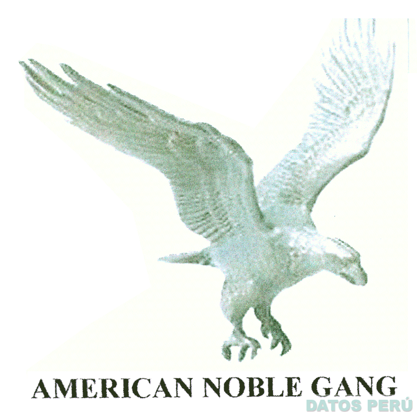 AMERICAN NOBLE GANG