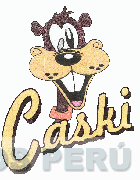 CASKI