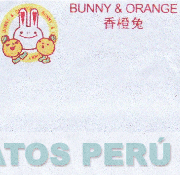 BUNNY & ORANGE