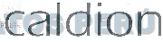 CALDION