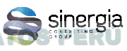 SINERGIA CONSULTING GROUP