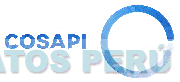 COSAPI