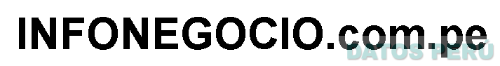 INFONEGOCIO.COM.PE