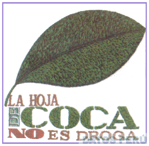 LA HOJA DE COCA NO ES DROGA