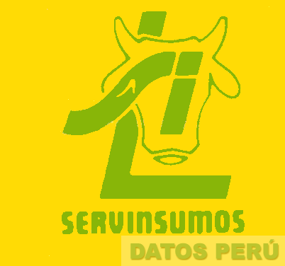SERVINSUMOS LSI
