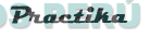 PRACTIKA