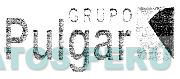 GRUPO PULGAR