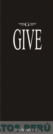 G GIVE WWW.GIVE.CL