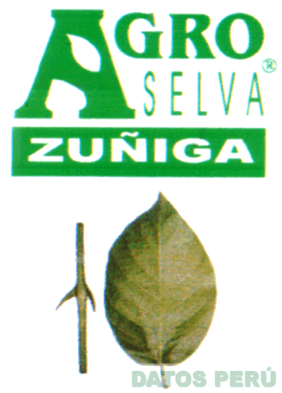 AGRO SELVA ZUÑIGA