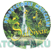 PRODUCCIONES MUSICALES SALDIVAR