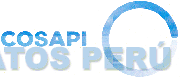 COSAPI