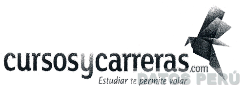 CURSOSYCARRERAS.COM ESTUDIAR TE PERMITE VOLAR