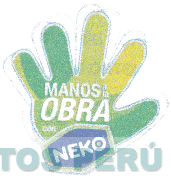 MANOS A LA OBRA CON NEKO