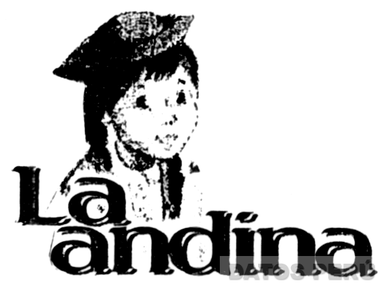 LA ANDINA