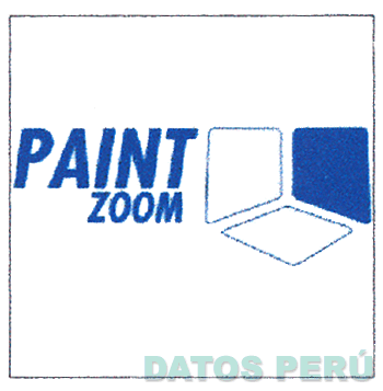 PAINT ZOOM