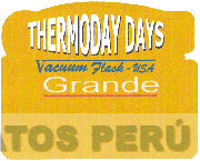 THERMODAY DAYS VACUUM FLASK - USA GRANDE