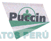 PUCCIN