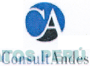 CA CONSULTANDES
