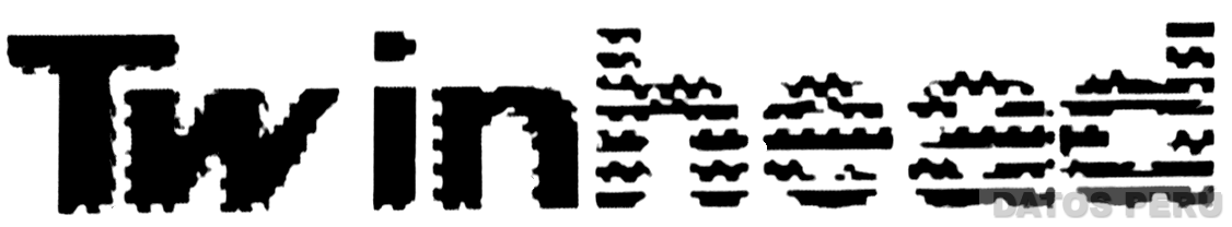 TWINHEAD