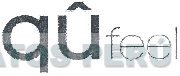 QÛFEEL