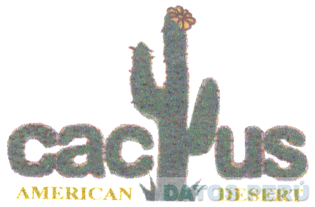 CACTUS AMERICAN DESERT