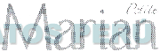 PETITE MARIAN