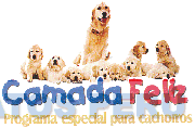 CAMADA FELIZ PROGRAMA ESPECIAL PARA CACHORROS