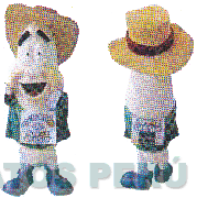 TACUARITO DE ARROZ DEL SUR