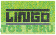 LINGO