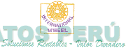 INTERNATIONAL WHEEL SOLUCIONES RENTABLES - VALOR DURADERO