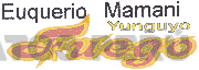 EUQUERIO MAMANI YUNGUYO FUEGO