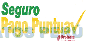 SEGURO PAGO PUNTUA PROTECTA COMPAÑIA DE SEGUROS