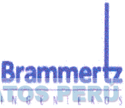 BRAMMERTZ INGENIEROS
