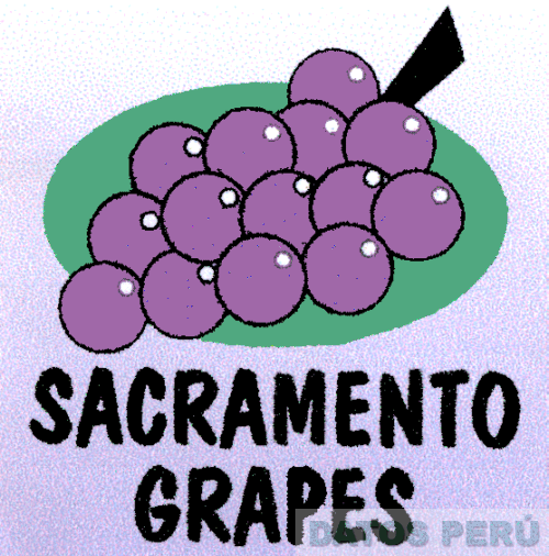 SACRAMENTO GRAPES