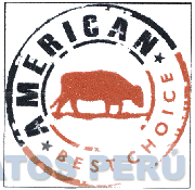 AMERICAN BEST CHOICE