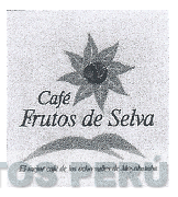 CAFÉ FRUTOS DE SELVA EL MEJOR CAFÉ DE LOS OCHO VALLES DE MOYOBAMBA
