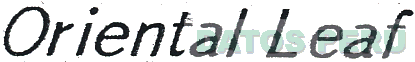 ORIENTAL LEAF
