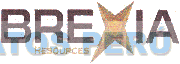 BREXIA RESOURCES